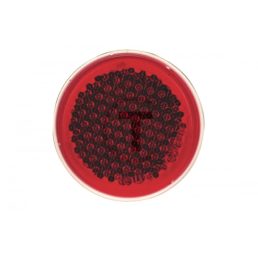 Fényvisszaverő prizma 50778623020