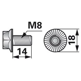 Rögzítőcsavar 00449301 - M8 x 14 mm