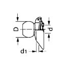 Szárnyas gömbszem 3/3 kat