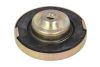 Vapormatic Tanksapka Ford VPD4502, 81718153, E1ADDN9030