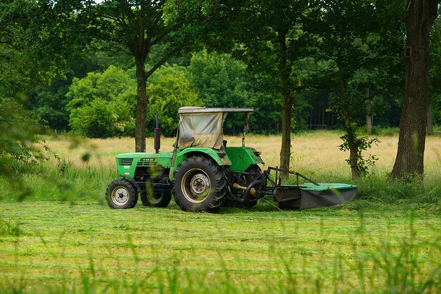 Kaszálás 2025